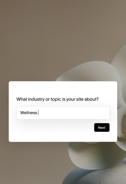 Uma mensagem de configuração perguntando "Qual é o setor ou tópico do seu site?", com "Bem-estar" digitado no campo e um botão "Próximo", tudo isso em um cenário de pedras lisas com iluminação suave.