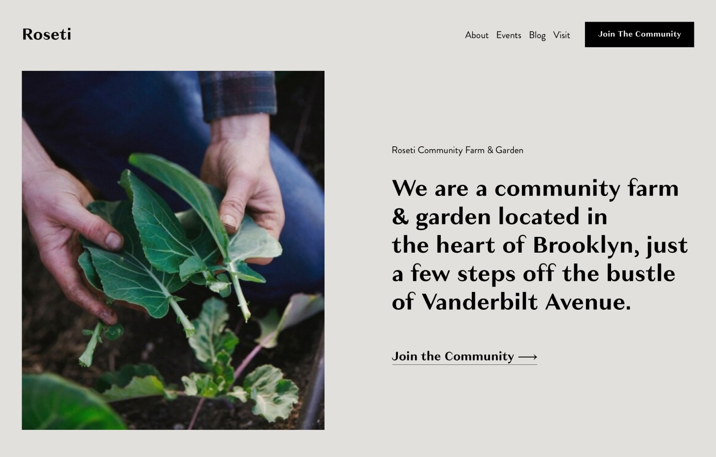 Desktop version of the Roseti.