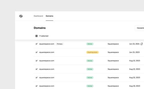 Bulk domain management features available in Squarespace Domains settings.