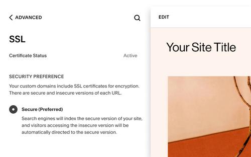 Statut du certificat SSL et préférences dans le panneau des paramètres avancés de Squarespace Domains.