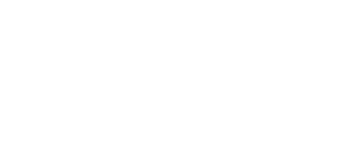 BASK logo