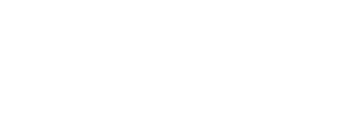 YWCA logo
