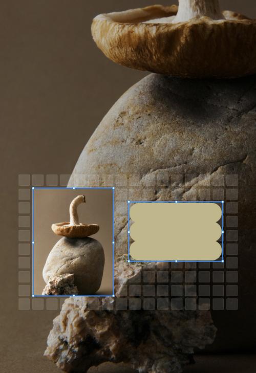 Digital design interface with an upside-down mushroom layered over a light brown stone against an earthy background. Tan accordion shape and grid indicate movable and adjustable design elements, suggesting a digital canvas for precise layout adjustments.