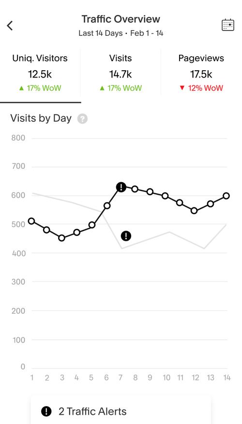 Panneau Squarespace Analytics