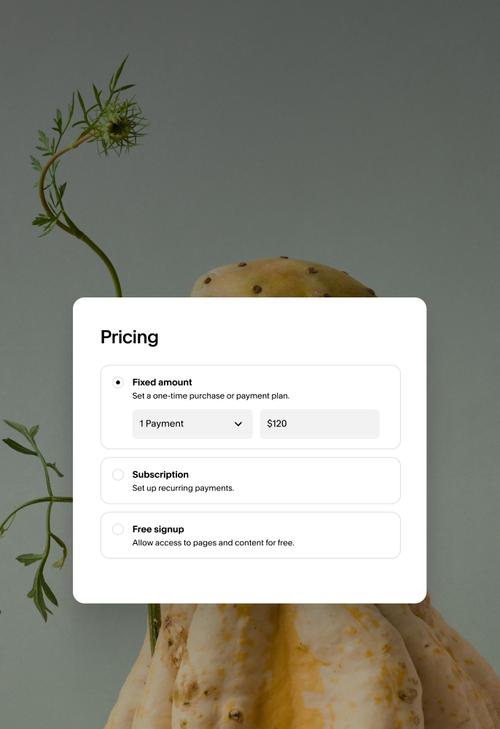 Pricing module showing flexibility in pricing amount, number of payments, subscription availability, or free-access.