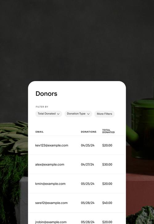 Dashboard view showing donor information, including contribution amount, date of donation, and contact information.