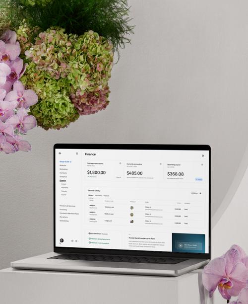 Squarespace subscribers can accept and manage their payments using Squarespace’s own payment processor.