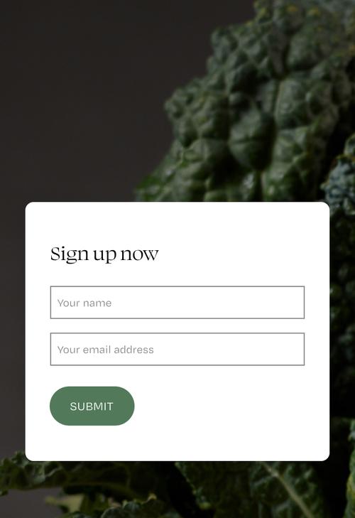 Contact form requesting a potential subscribers name and email address.