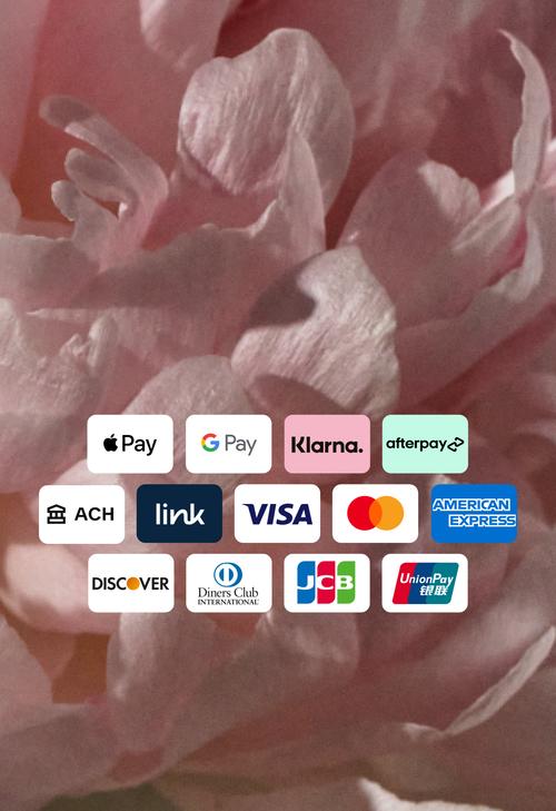 Aggregato di opzioni di metodi di pagamento: Apple Pay, Klarna, Afterpay, ACH, Link, VISA, Mastercard, American Express, Discover, Diners Club International, JCB, Union Pay