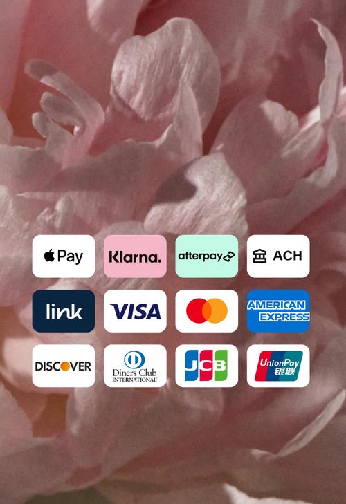 支払い方法オプションの一覧。 Apple Pay、Klarna、Afterpay、ACH、link、VISA、Mastercard、American Express、Discover、Diners Club International、JCB、銀聯。