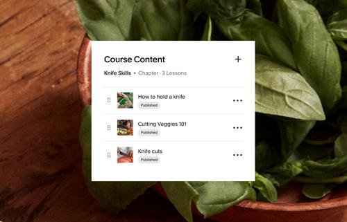 Visualizzazione del contenuto del corso in modalità proprietario del sito, compresa la suddivisione in capitoli e lezioni.