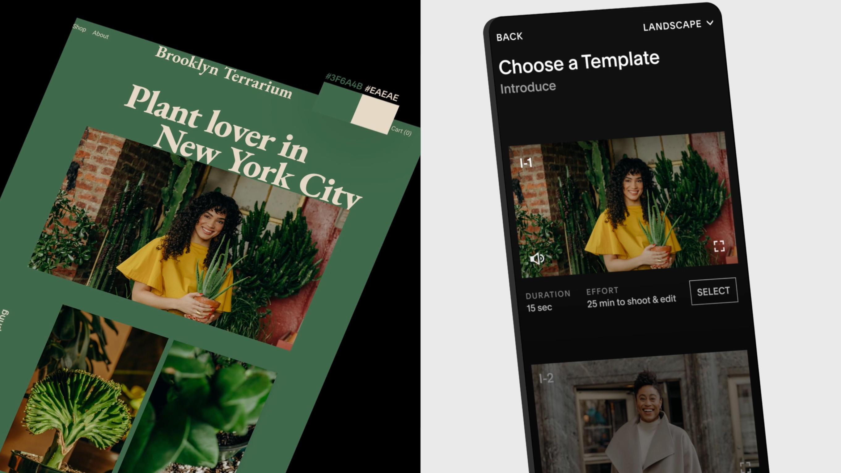 Exemple tiré de l'interface de l'application Video Studio