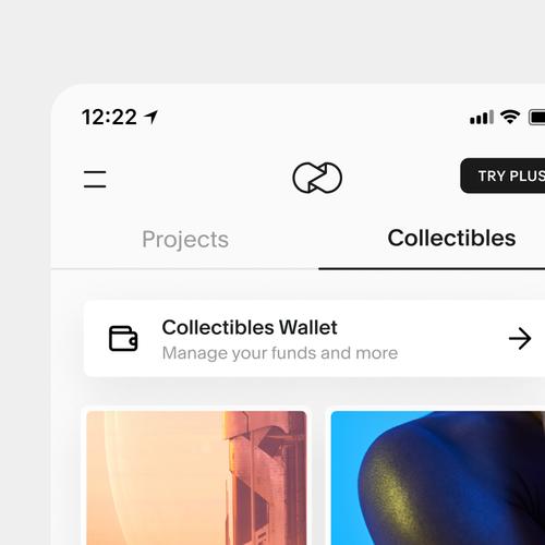 Teilansicht der Seite „Digital Collectibles“ in der App