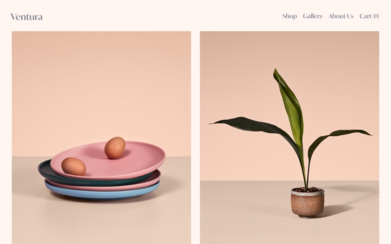 Example desktop website