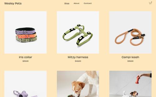 Example website selling pet supplies