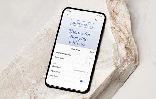 Interface du panneau de personnalisation de l'application Squarespace