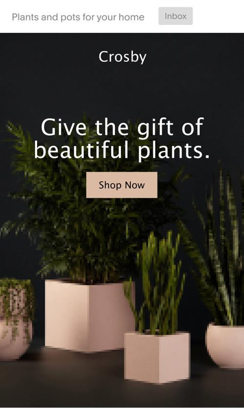 Mobile email UI selling plants