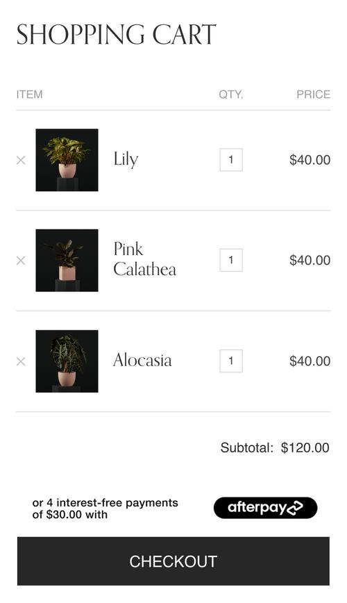 Pink Lily - We now offer afterpay at checkout! Shop now