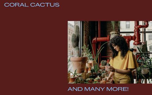 Video Studio example template